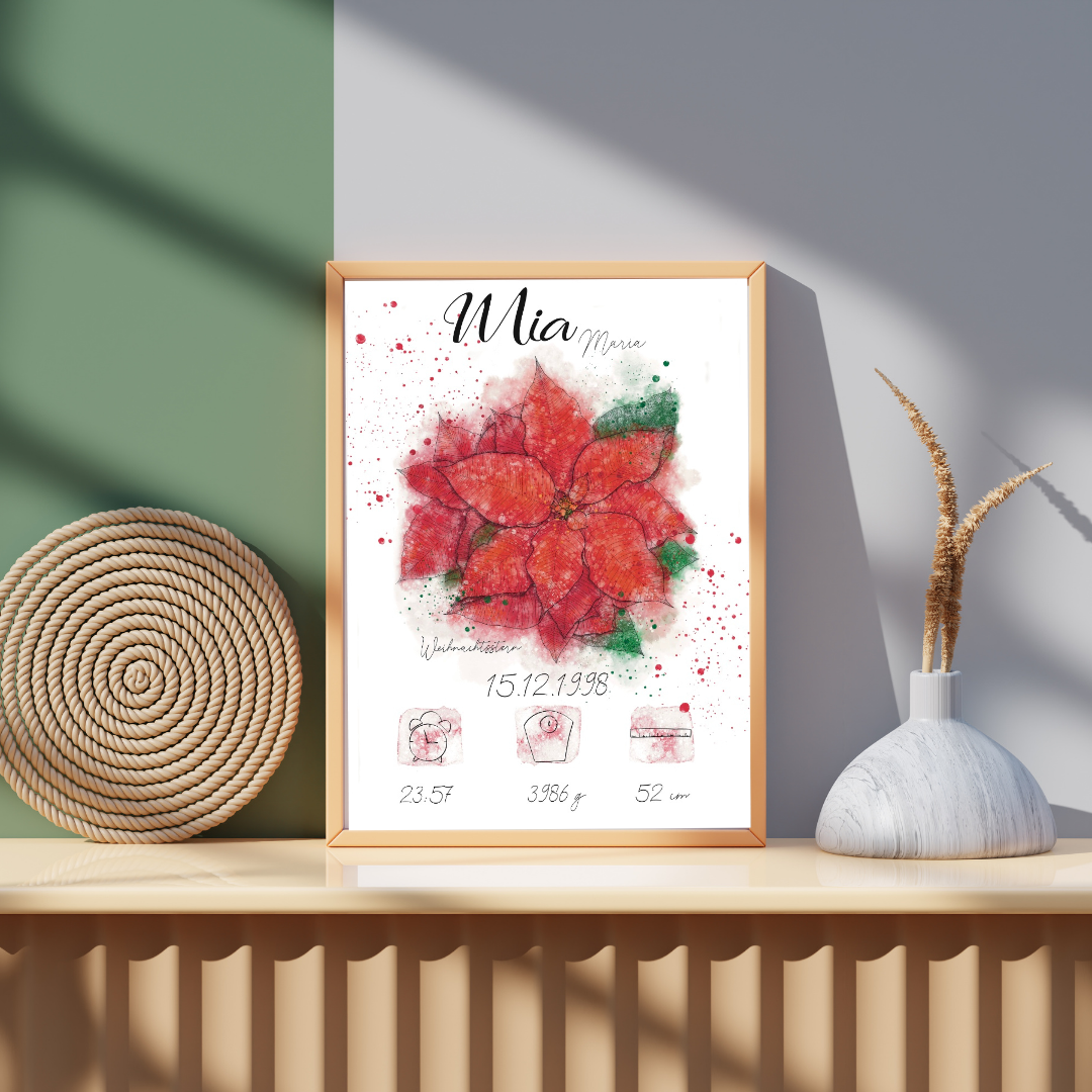 Personalisiertes Geburtsposter: Geburtsblume Dezember Weihnachtsstern | Bunt