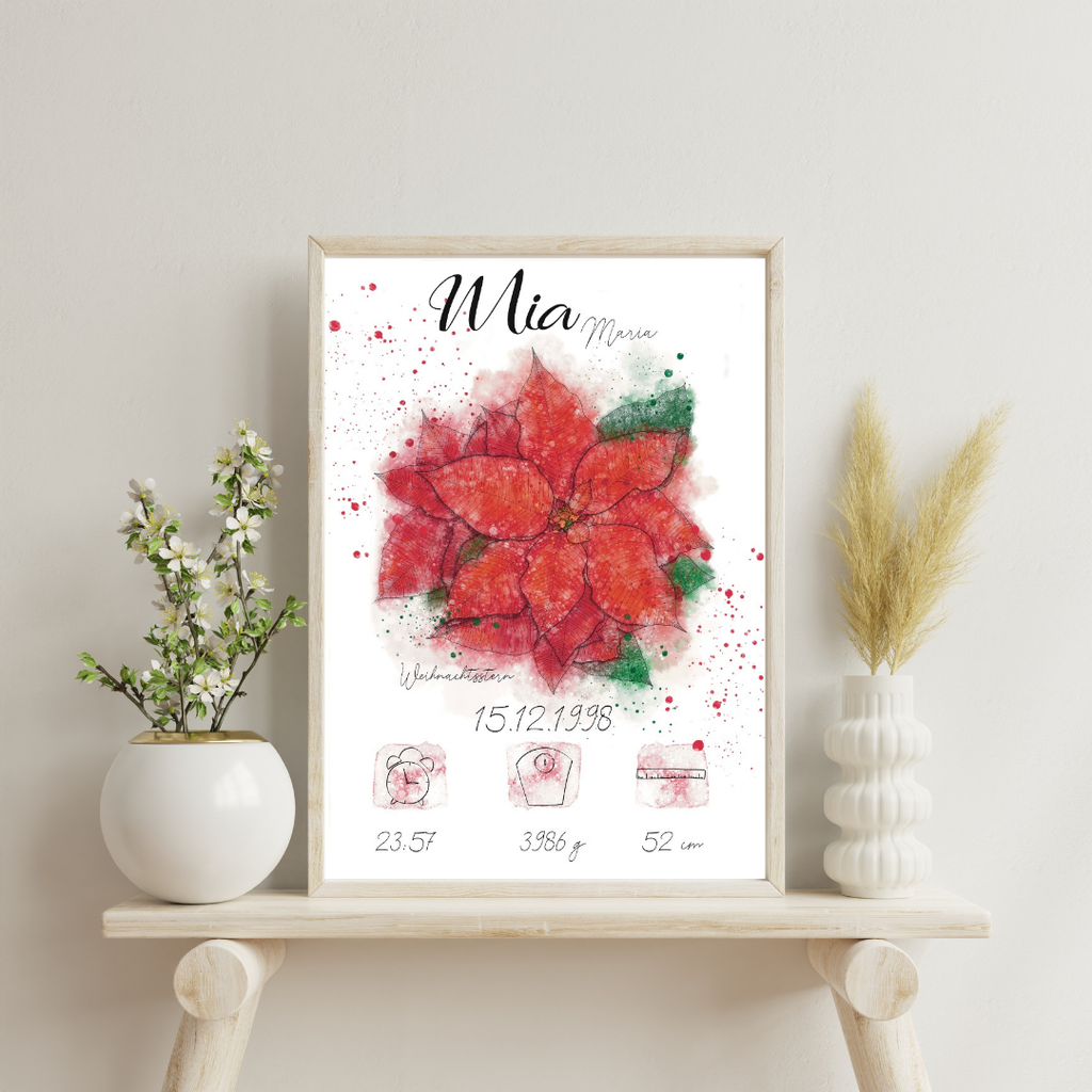 Personalisiertes Geburtsposter: Geburtsblume Dezember Weihnachtsstern | Bunt
