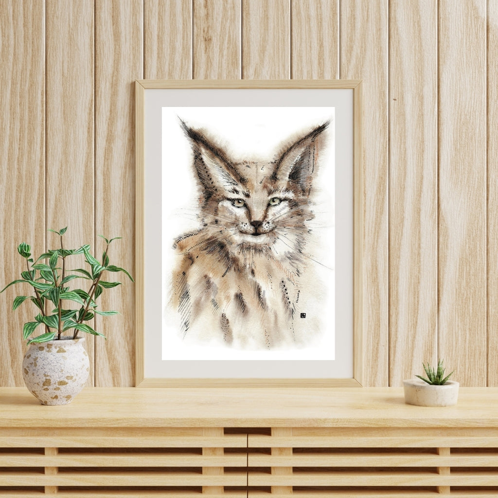 Der Luchs