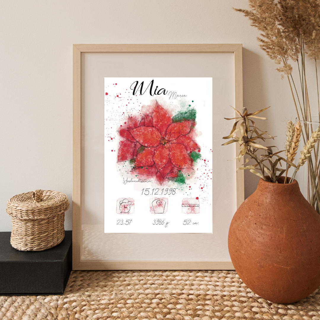 Personalisiertes Geburtsposter: Geburtsblume Dezember Weihnachtsstern | Bunt