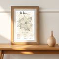 Personalisiertes Geburtsposter: Geburtsblume Dezember Weihnachtsstern | Beige