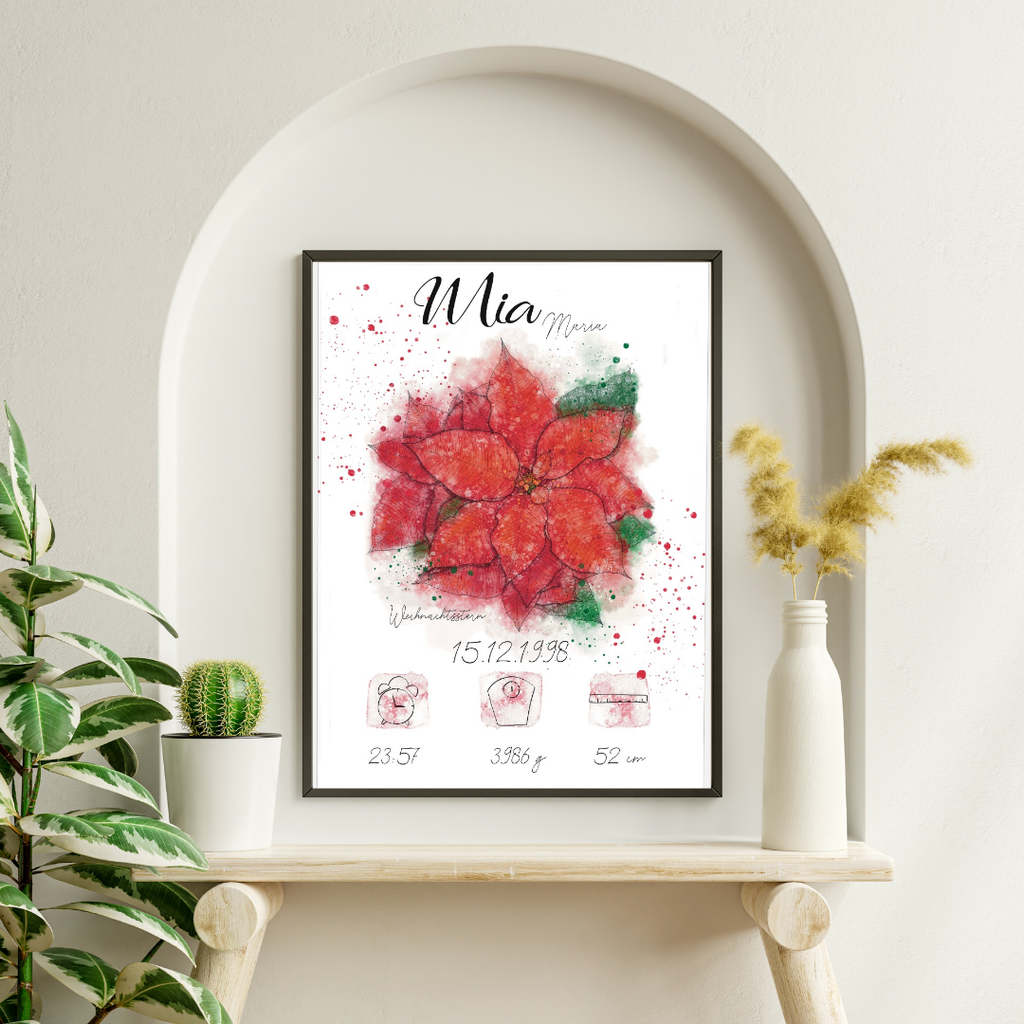 Personalisiertes Geburtsposter: Geburtsblume Dezember Weihnachtsstern | Bunt