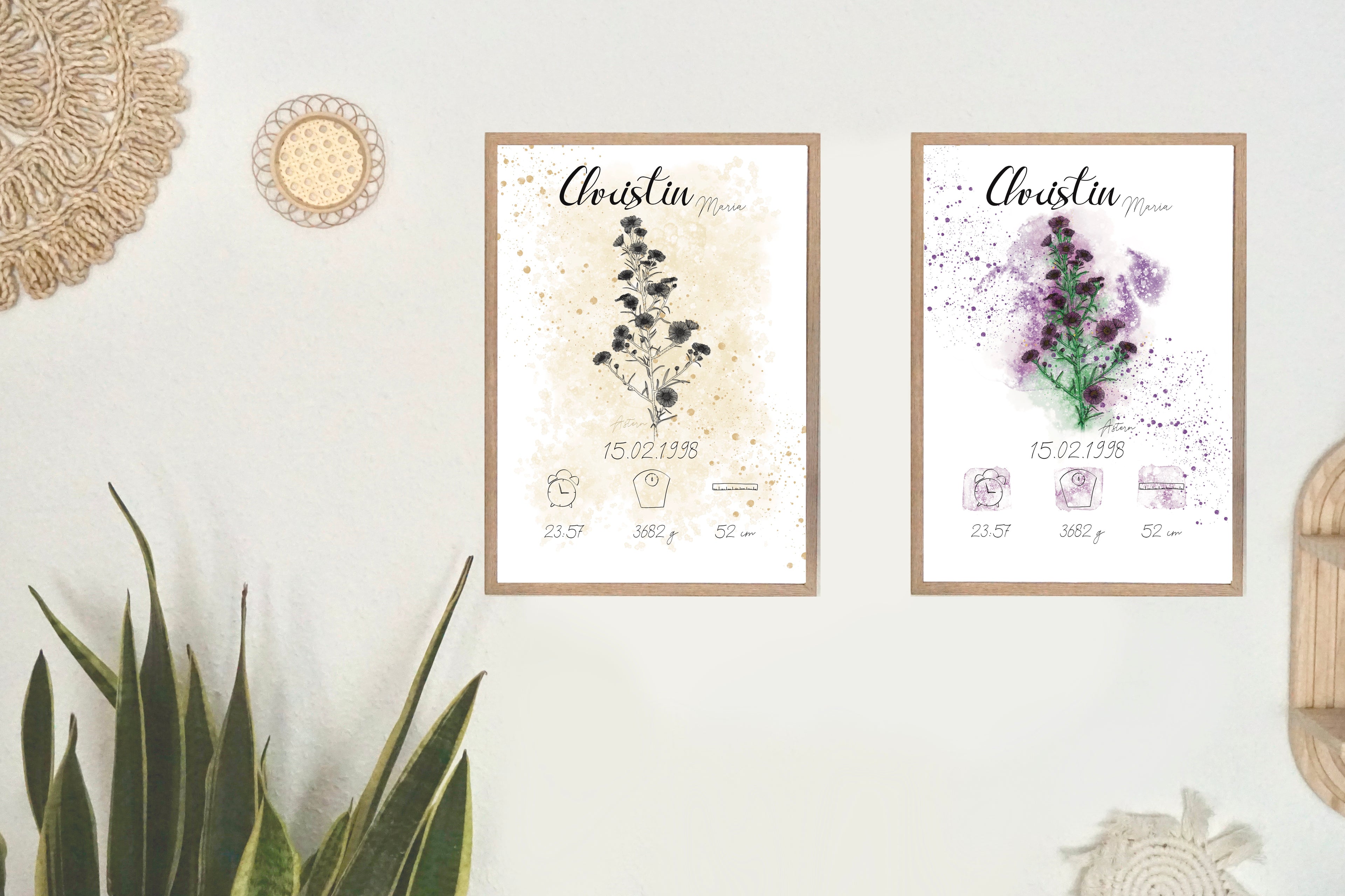 Personalisiertes Geburtsposter: Geburtsblume September Astern | Bunt
