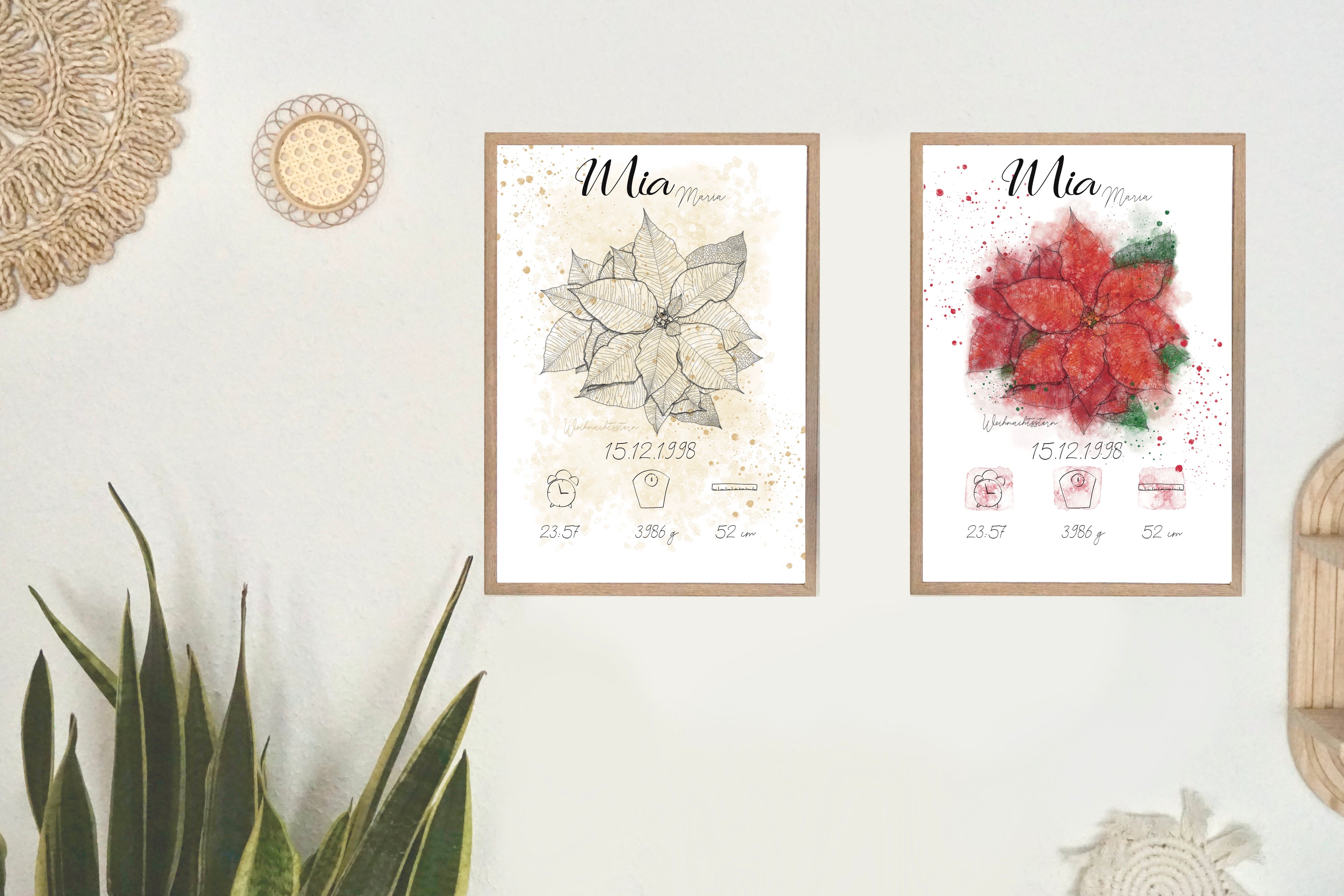 Personalisiertes Geburtsposter: Geburtsblume Dezember Weihnachtsstern | Bunt
